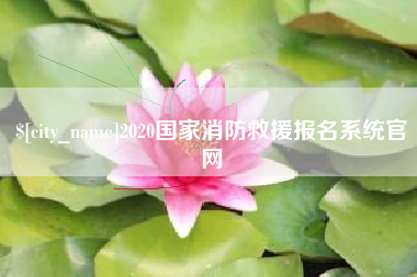 庆阳2020国家消防救援报名系统官网