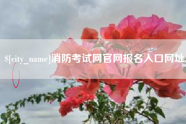 庆阳消防考试网官网报名入口网址