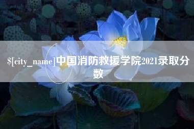 庆阳中国消防救援学院2021录取分数