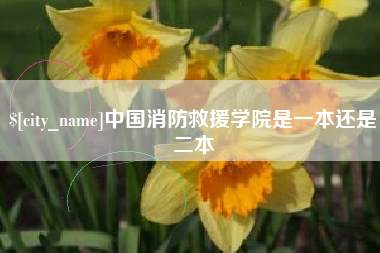 庆阳中国消防救援学院是一本还是二本