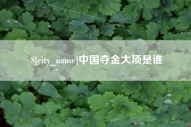 庆阳中国夺金大项是谁