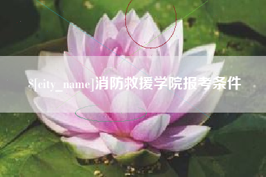 庆阳消防救援学院报考条件
