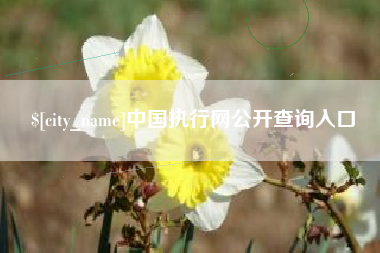 庆阳中国执行网公开查询入口