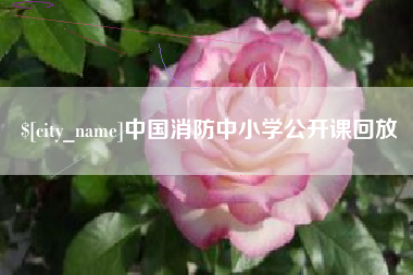 庆阳中国消防中小学公开课回放