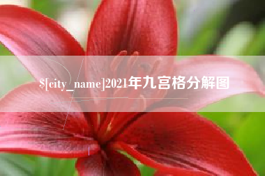 庆阳2021年九宫格分解图