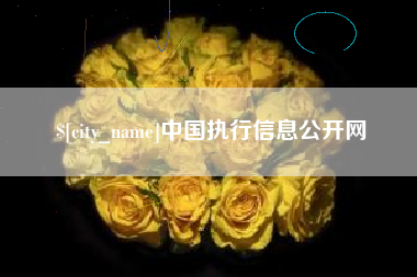 庆阳中国执行信息公开网