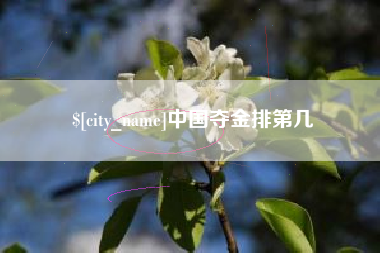 庆阳中国夺金排第几