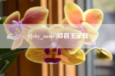 庆阳邱县王子磊