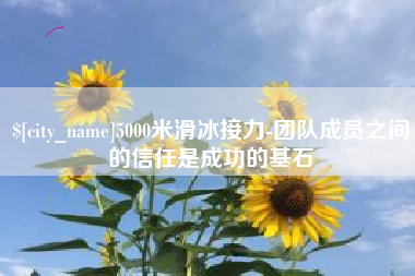 庆阳5000米滑冰接力-团队成员之间的信任是成功的基石