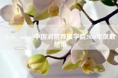 庆阳中国消防救援学院2020年录取结果