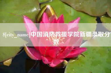 庆阳中国消防救援学院新疆录取分数