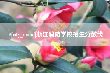 庆阳浙江消防学校招生分数线