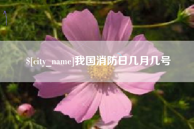 庆阳我国消防日几月几号