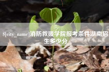 庆阳消防救援学院报考条件湖南招生多少分