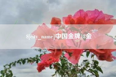 庆阳中国金牌18金