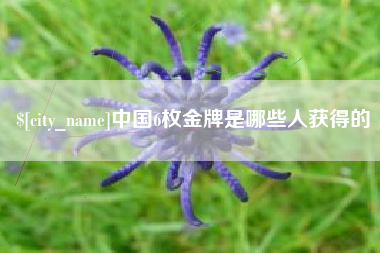 庆阳中国6枚金牌是哪些人获得的