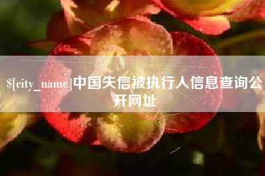 庆阳中国失信被执行人信息查询公开网址