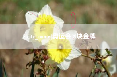 庆阳奥运会39块金牌