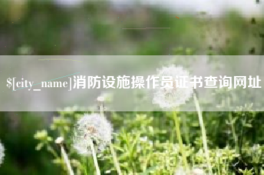 庆阳消防设施操作员证书查询网址
