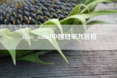 庆阳中国冠军九宫格