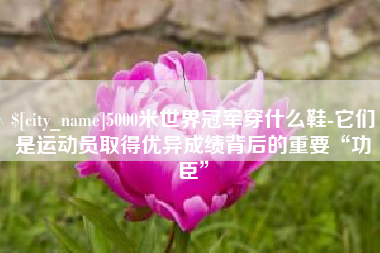 庆阳5000米世界冠军穿什么鞋-它们是运动员取得优异成绩背后的重要“功臣”