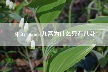 庆阳九宫为什么只有八卦