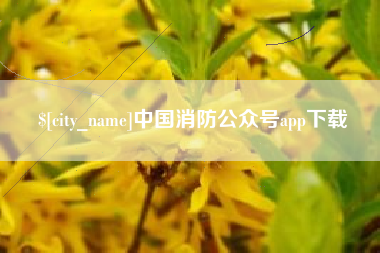 庆阳中国消防公众号app下载