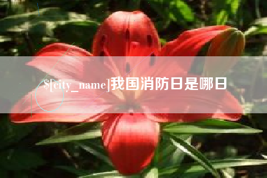 庆阳我国消防日是哪日