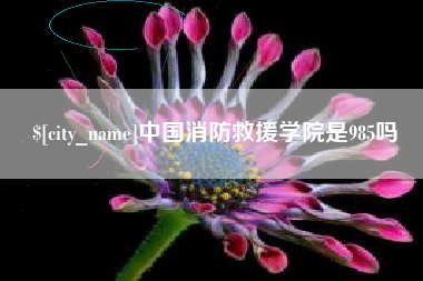 庆阳中国消防救援学院是985吗