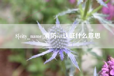 庆阳消防ccc认证什么意思