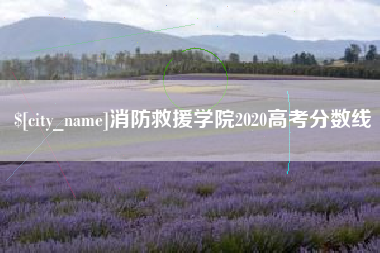 庆阳消防救援学院2020高考分数线