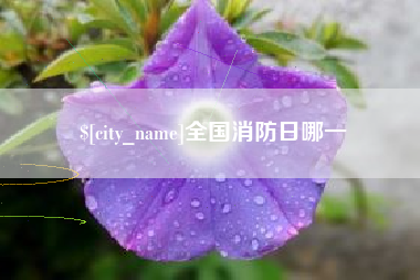 庆阳全国消防日哪一
