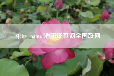 庆阳消防证查询全国联网
