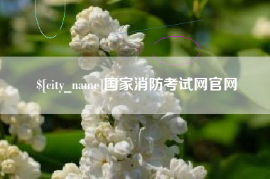 庆阳国家消防考试网官网