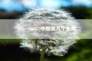 庆阳中国第九个金牌
