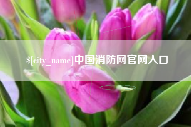 庆阳中国消防网官网入口
