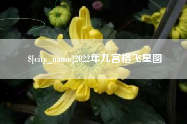 庆阳2022年九宫格飞星图