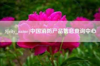 庆阳中国消防产品信息查询中心