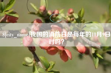 庆阳我国的消防日是每年的11月9日对吗？