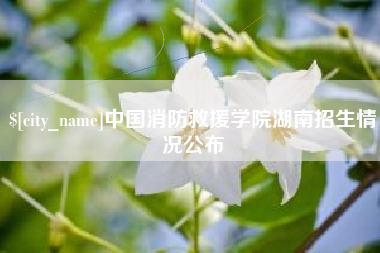 庆阳中国消防救援学院湖南招生情况公布