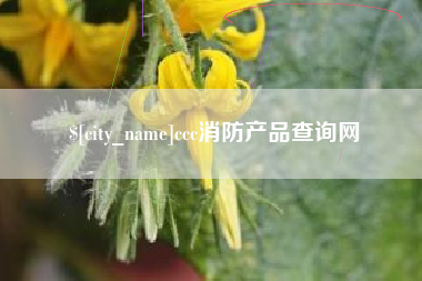 庆阳ccc消防产品查询网