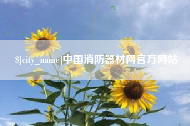 庆阳中国消防器材网官方网站