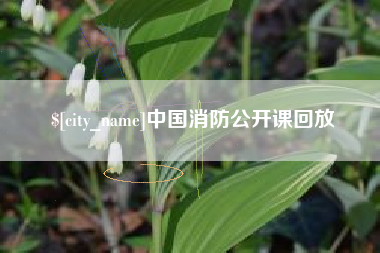 庆阳中国消防公开课回放