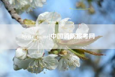 庆阳中国消防报考网