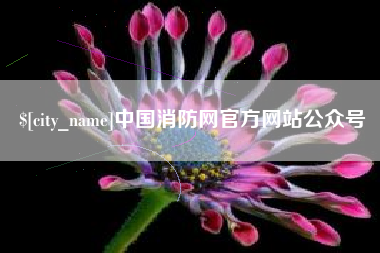 庆阳中国消防网官方网站公众号