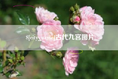 庆阳古代九宫图片