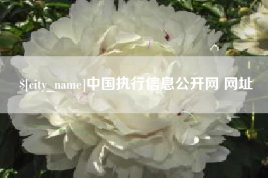庆阳中国执行信息公开网 网址