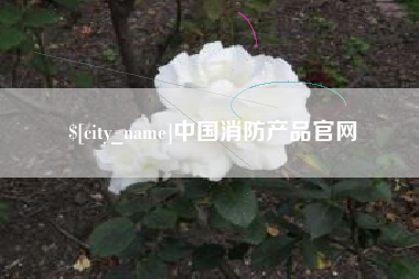 庆阳中国消防产品官网