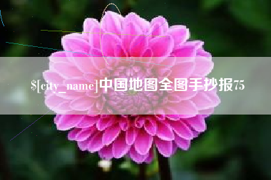 庆阳中国地图全图手抄报75