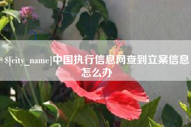 庆阳中国执行信息网查到立案信息怎么办